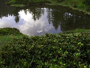 devtra 008m : devtra